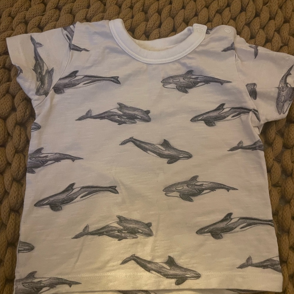 monica & andy  White and Gray Marine Animal Print Short Sleeve Tee b1
